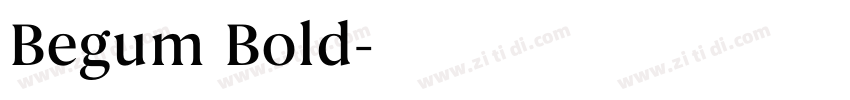 Begum Bold字体转换